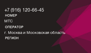 9161206645
